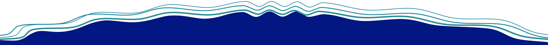 footer-divider icon