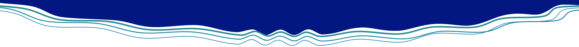 banner-divider