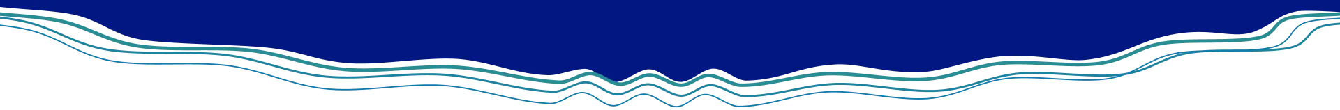 banner-divider