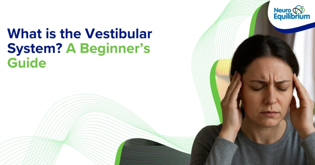 _What is the Vestibular System A Beginner’s Guide
